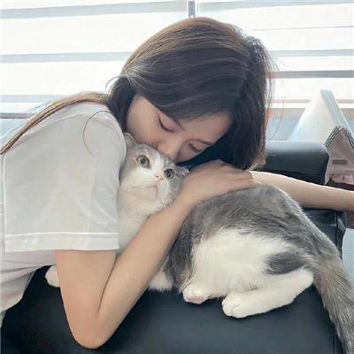 摘星甜点王